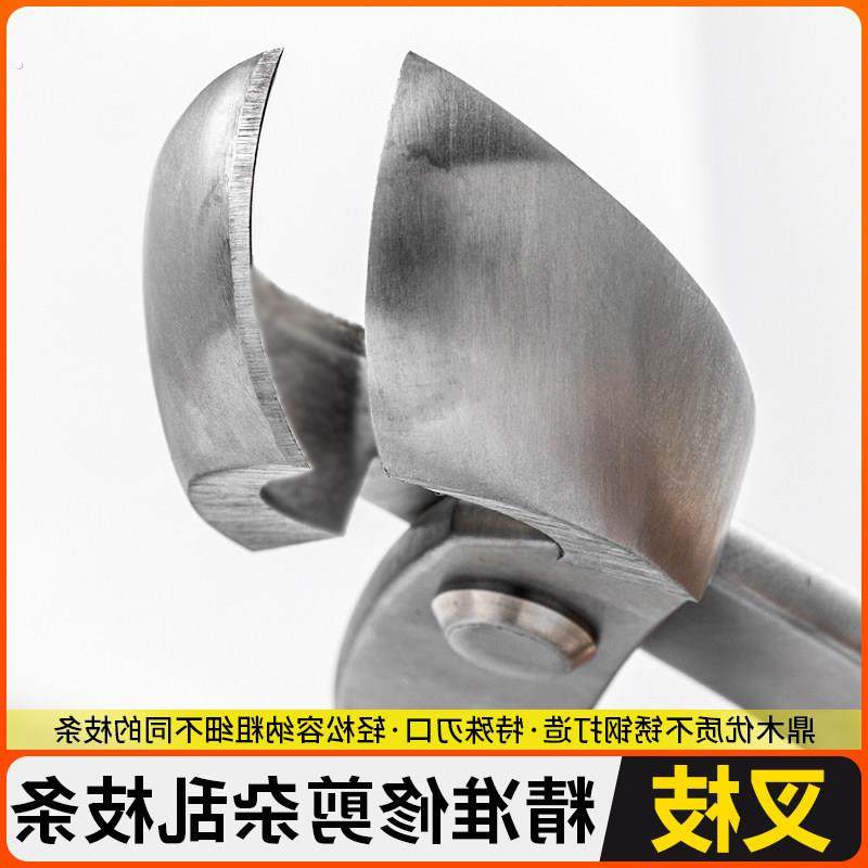 盆景造型工具斜口园艺修剪钳成工叉枝剪制作养护专用工具侧枝剪刀,鲜花速递/花卉仿真/绿植园艺,剪刀,淘宝优惠券,粉丝福利购,淘宝优惠卷