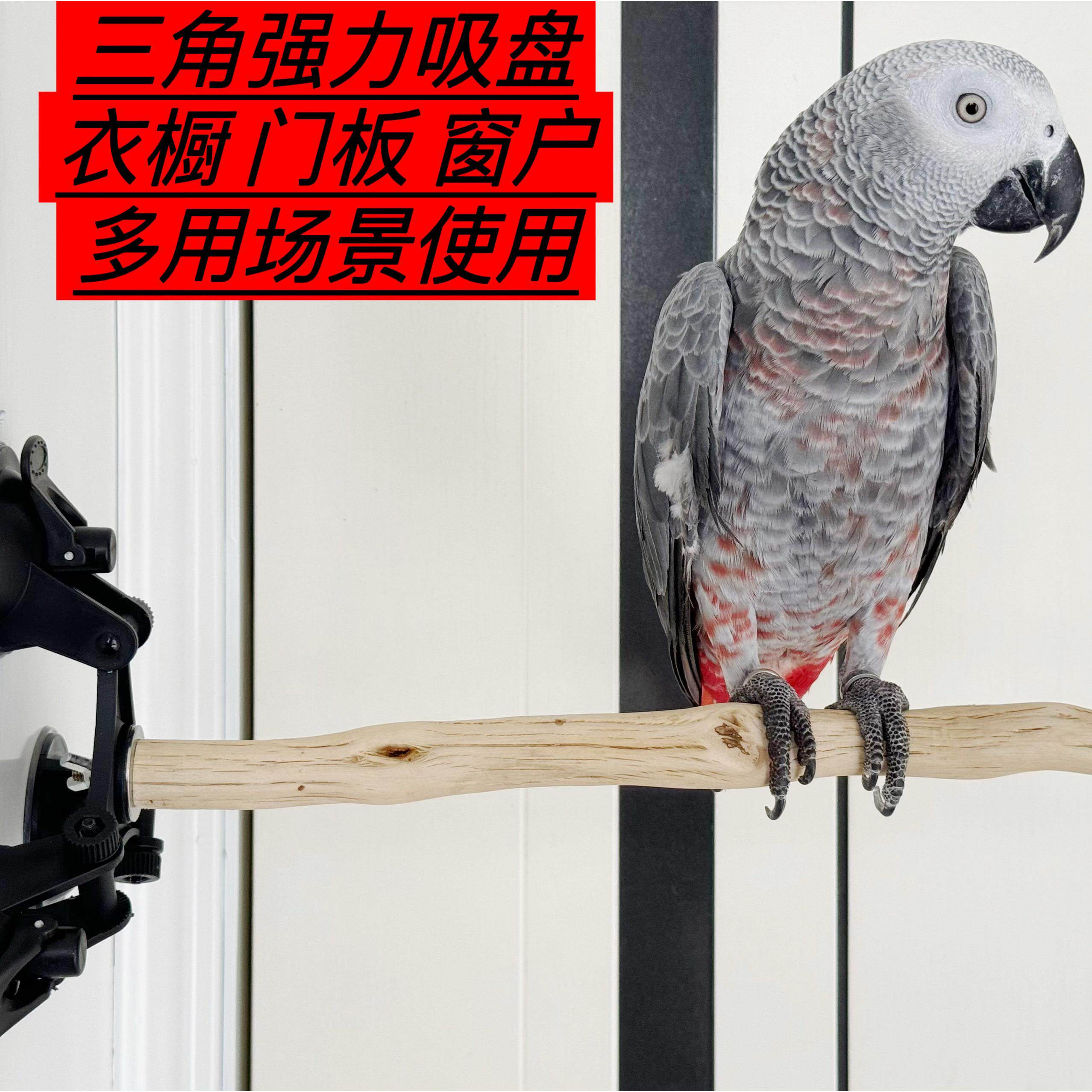 鹦鹉吸盘三角吸盘站架玻璃站架子磨爪空中站杆虎皮牡丹可携式