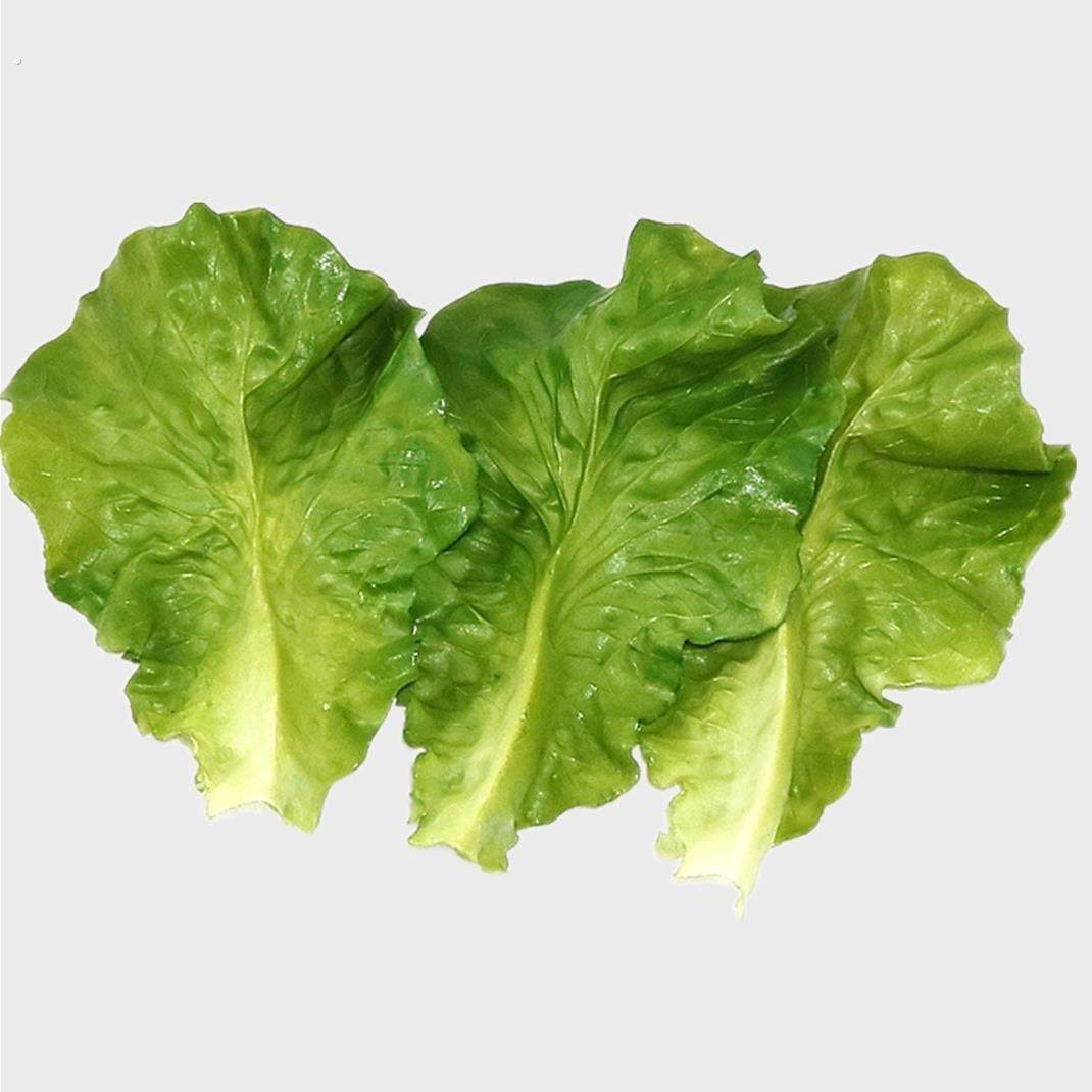 仿真小生菜叶片蔬菜模型PVC菜叶厨房食品摆件农家乐拍摄道具餐厅,玩具/童车/益智/积木/模型,儿童食玩,淘宝优惠券,粉丝福利购,淘宝优惠卷