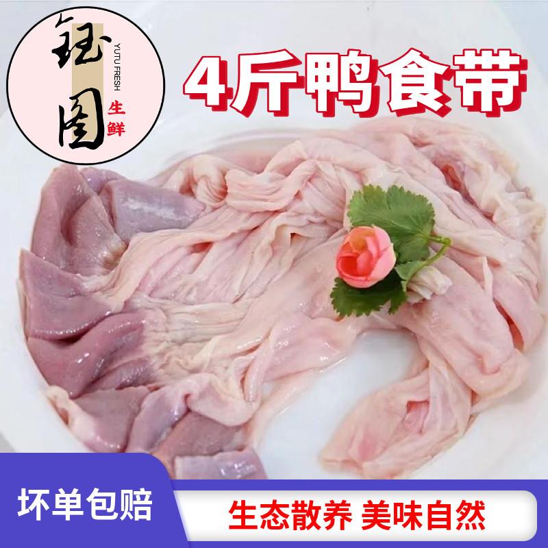 鸭食带冷冻鸭食管新鲜冷冻鸭郡把鸭胰胃特色小吃重庆火锅配菜