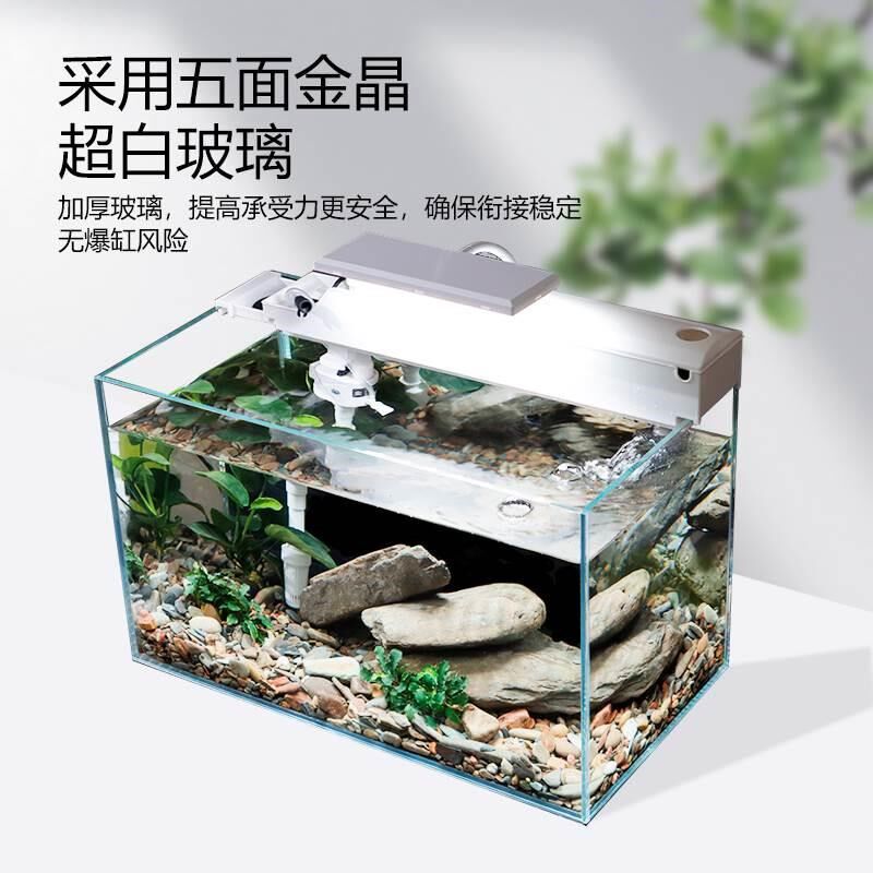 超白鱼缸客厅小型玻璃桌面生态溪流真水草造景懒人金鱼乌龟缸