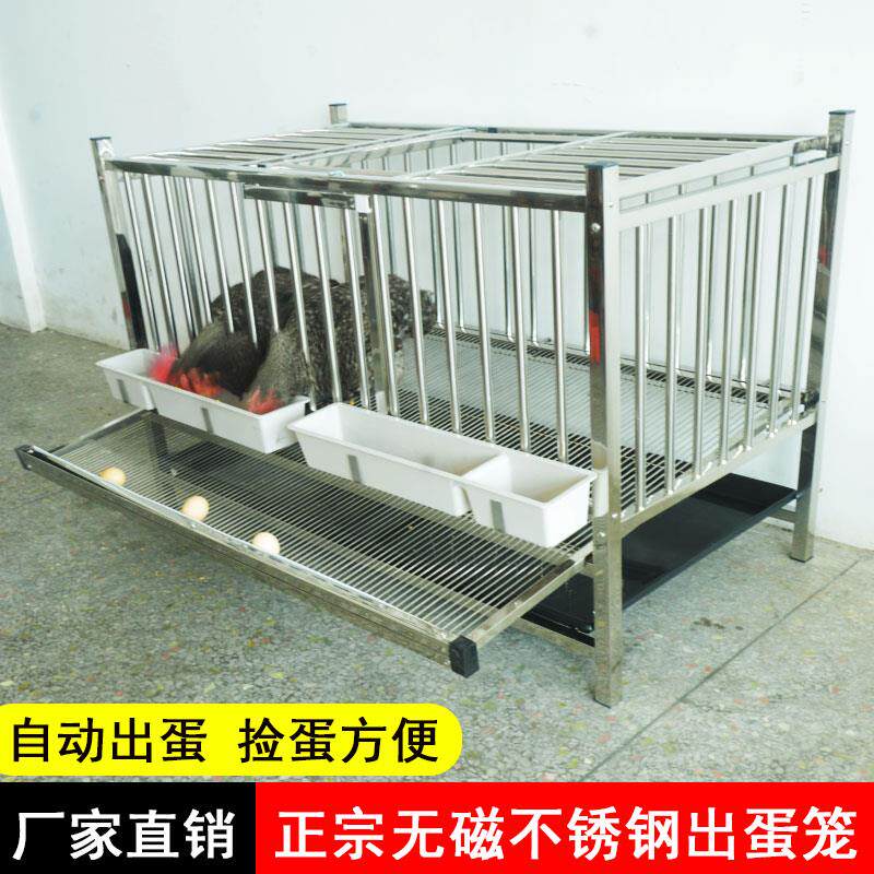 不锈钢鸡笼家用室外滚鸡蛋大号特大蛋鸡养殖笼自动出蛋养殖场多层