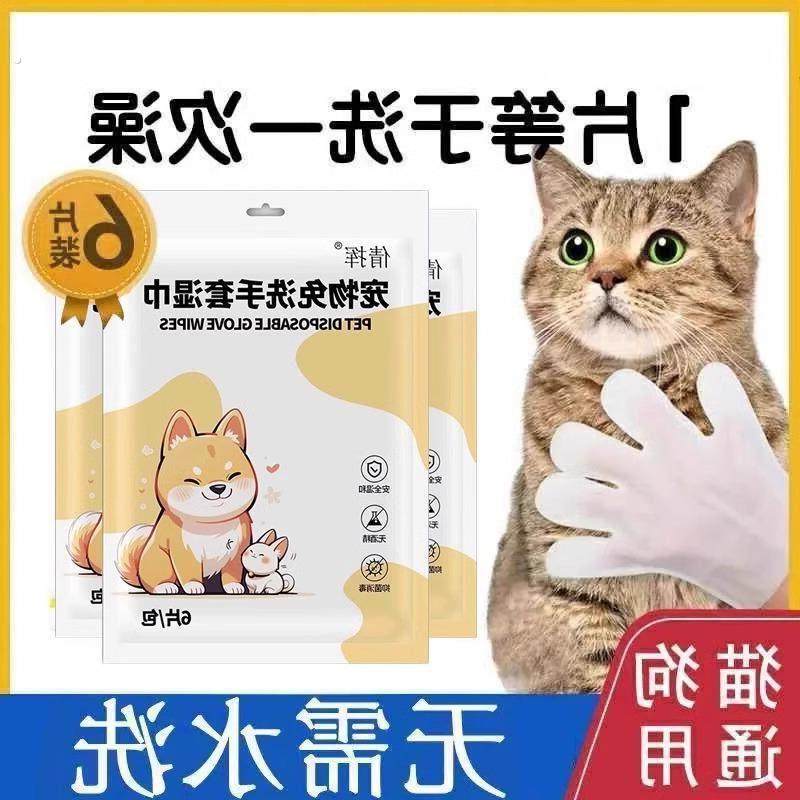 宠物免洗手套猫咪洗澡宠物湿巾狗狗干 干洗清洁手套杀菌除臭免洗,宠物/宠物食品及用品,猫狗免洗清洁,淘宝优惠券,粉丝福利购,淘宝优惠卷