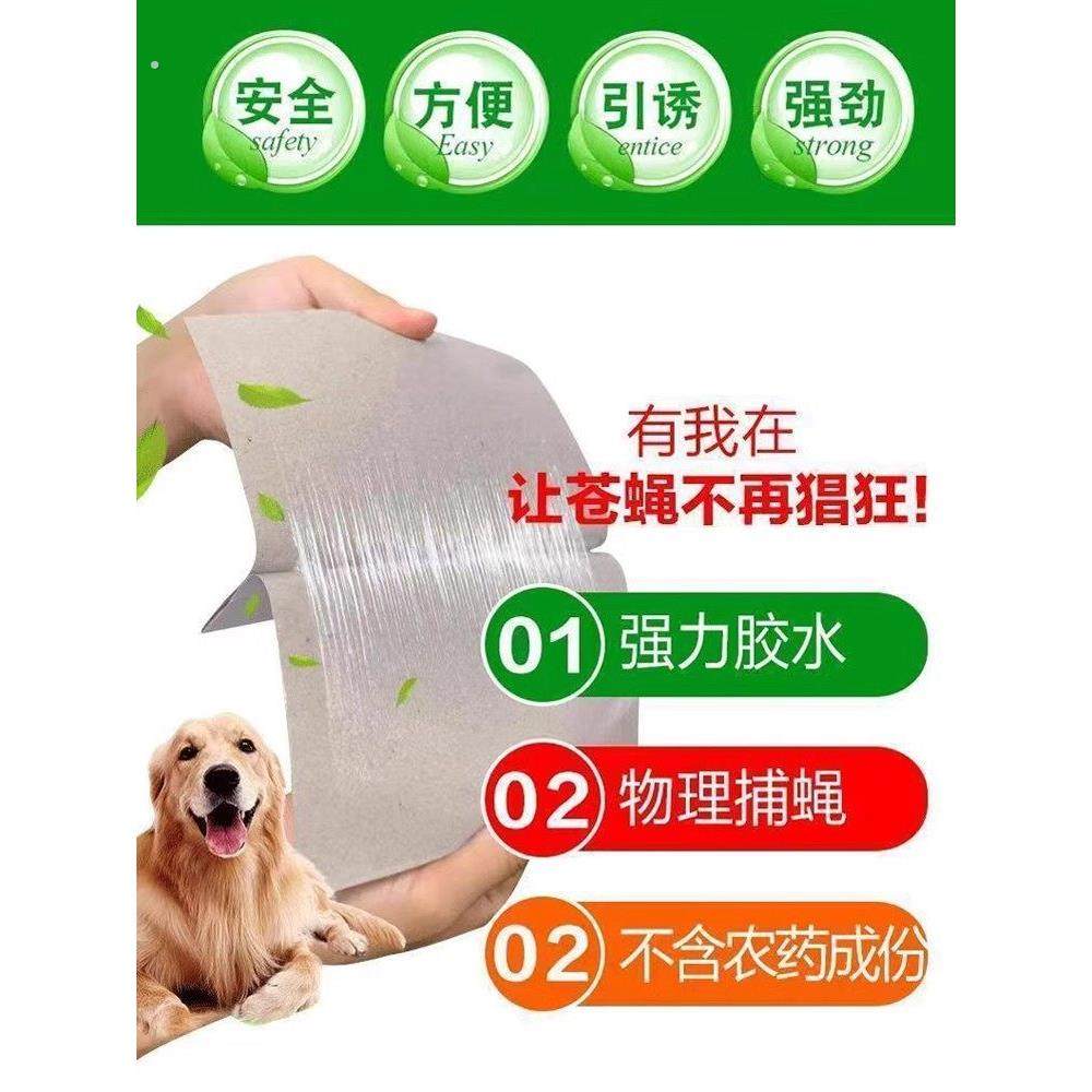 强力粘蝇纸苍蝇贴家用粘蝇板苍蝇捕捉神器诱捕灭蝇子蚊子杀手克星,居家日用,粘蝇纸,淘宝优惠券,粉丝福利购,淘宝优惠卷