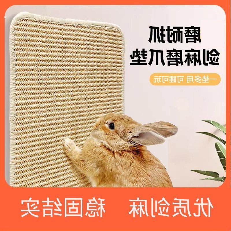 兔子玩具磨爪剑麻垫兔子解闷龙猫豚鼠荷兰猪磨抓板耐磨耐抓耐啃咬,宠物/宠物食品及用品,猫窝/屋/帐篷/沙发,淘宝优惠券,粉丝福利购,淘宝优惠卷