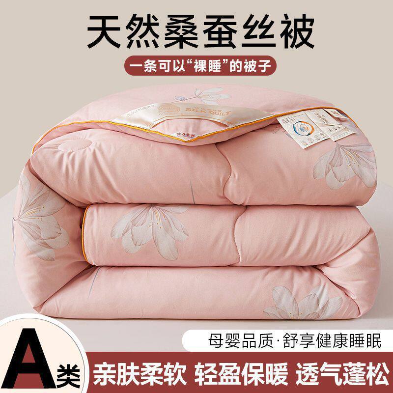 蚕丝被桑蚕丝春秋被冬被保暖单双人学生宿舍四季通用棉被芯批发