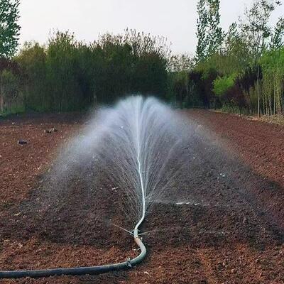 多孔输水滴管带无孔大棚蔬菜农用田浇地抗旱1寸5孔100米园林双孔