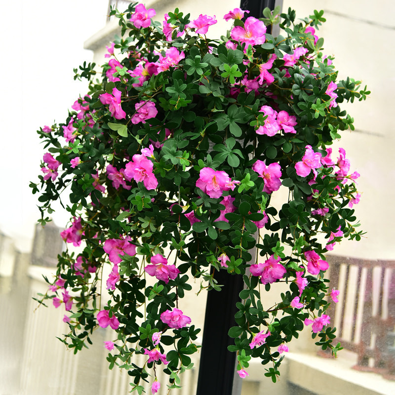仿真杜鹃花藤映山红藤蔓假花花藤条装饰花藤塑料花墙面挂壁花吊兰