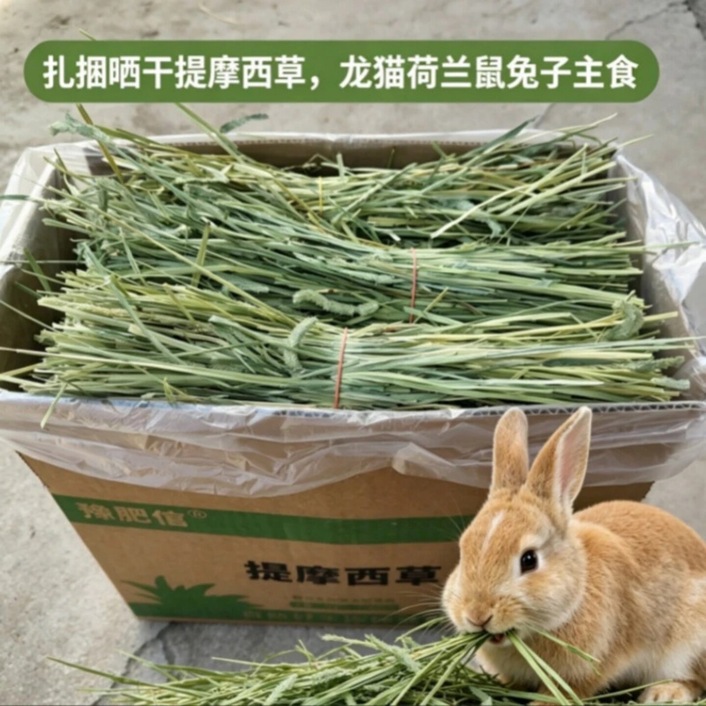 2026晒干烘干提摩西草兔粮