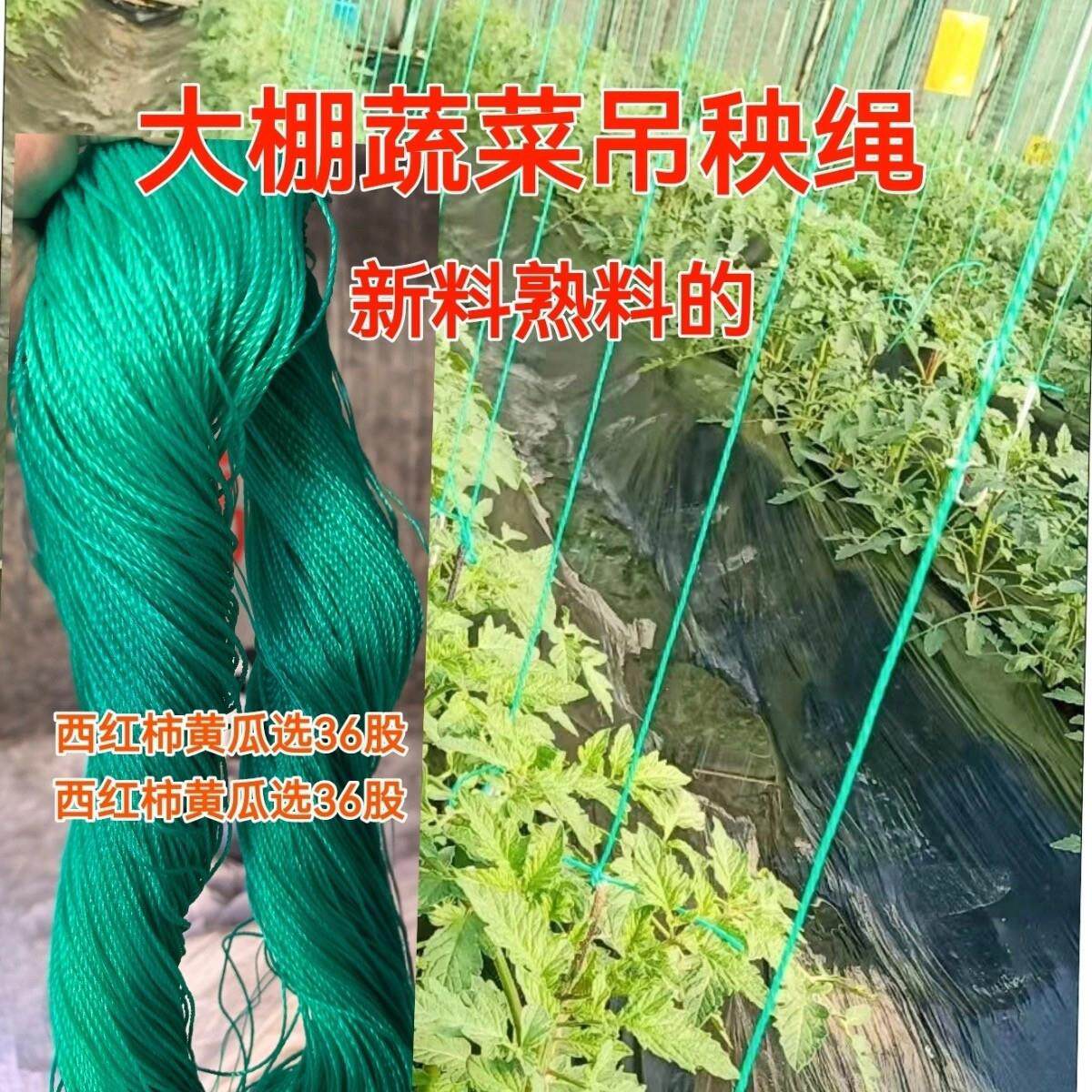 农用吊蔓绳园艺秧绳大棚塑料绳子黄瓜豆角番茄蔬菜吊绳吊爬藤线