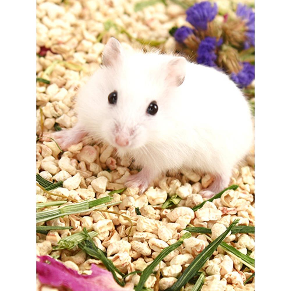 仓鼠玉米芯垫料宠物颗粒小动物金丝熊兔子龙猫吸湿尿砂沙爬宠用品