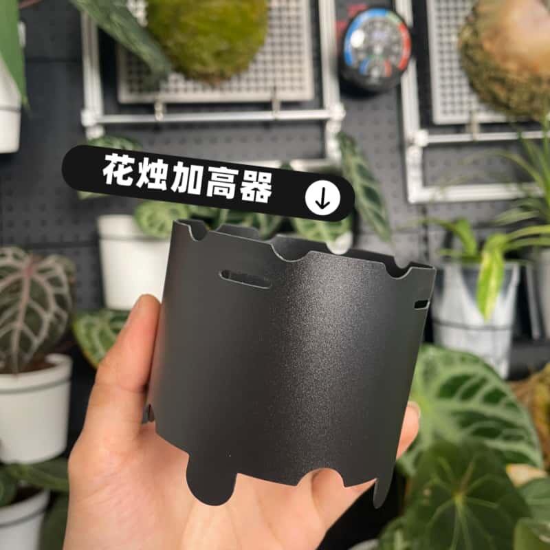 朴植PLANTS花烛气生根爬藤热植物养护控根生长可拼接加高器图片