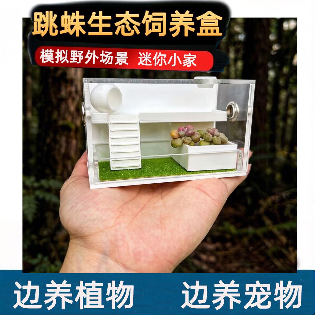 跳蛛饲养盒宠物佛罗里达生态饲养盒蜘蛛灰白佛橙佛跳蛛饲养盒大号