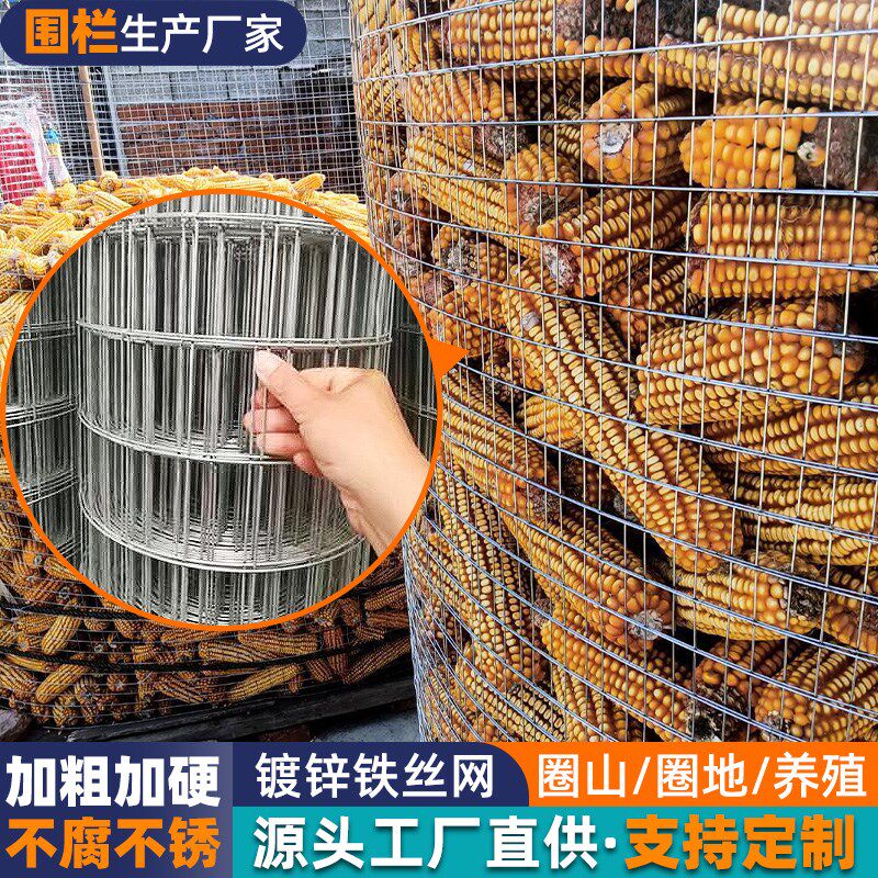 圈玉米网镀锌铁丝网棒子苞米围栏网拦鸡护栏网防鼠网钢丝网防护网