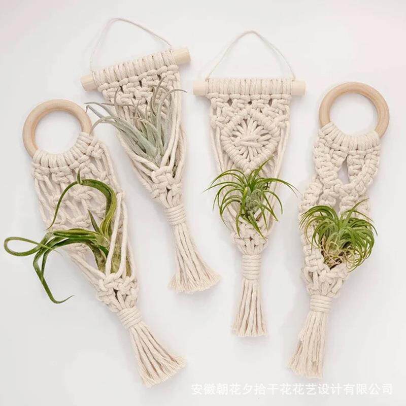 木环空气凤梨绿萝干花卡片挂绳兜底座装饰挂毯背景墙道具儿童房