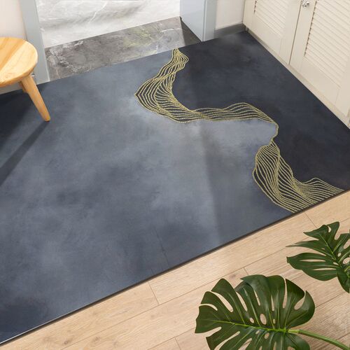 地毯门垫进门厅家用pvc可擦洗皮革脚垫免洗门口入户门地垫可裁剪