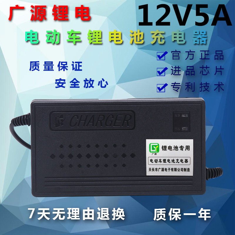 12V5A磷酸铁锂三元聚合物锂电池充电器12.6V 14.6V 16.8V 带风扇