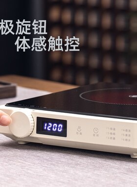 电陶炉煮茶围炉新款养生壶智能小型简约薄款迷你家用茶炉多功能