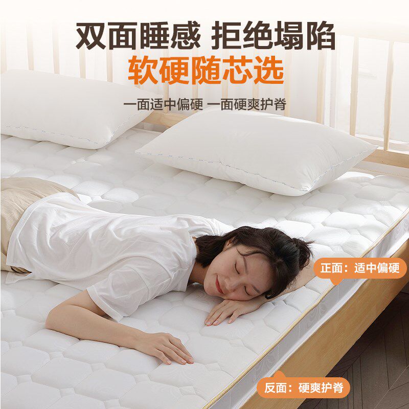 10公分椰棕床垫天然环保粽榈纯乳胶偏硬3d护脊腰儿童家用卧室定制