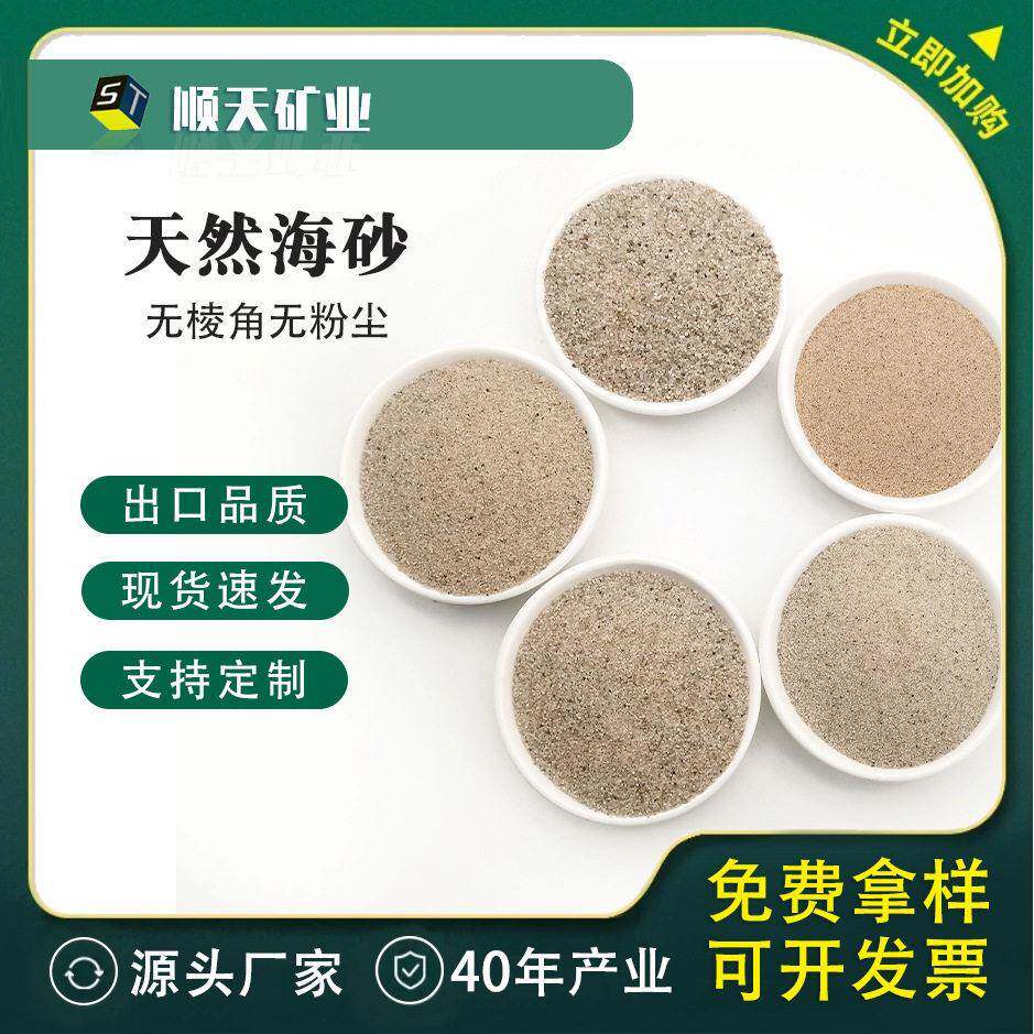 海砂儿童娱乐圆粒砂地面造景水洗海沙铺面砂细砂沙池填充喷砂