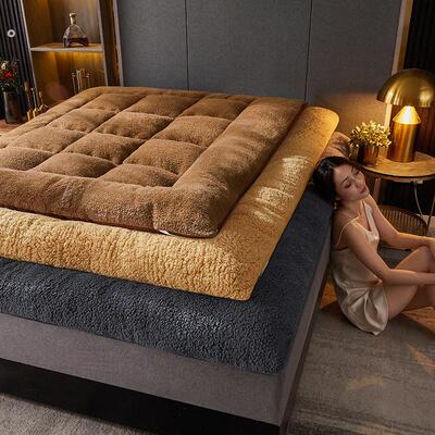 冬季必选加厚羊羔绒床垫床褥软垫榻榻米垫子垫被学生宿舍单人褥子