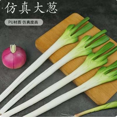 仿真大葱大蒜山东葱蔬菜模型pu海绵材质装饰菜蔬早教道具