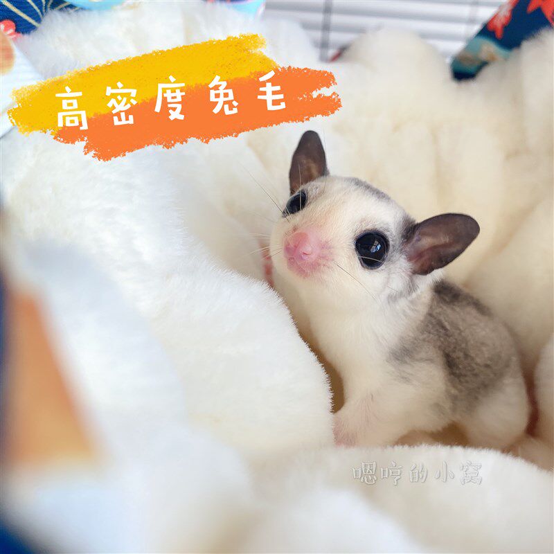 手工制作仿兔毛吊窝 小宠南瓜窝蜜袋鼯松鼠花枝鼠龙猫保暖棉窝