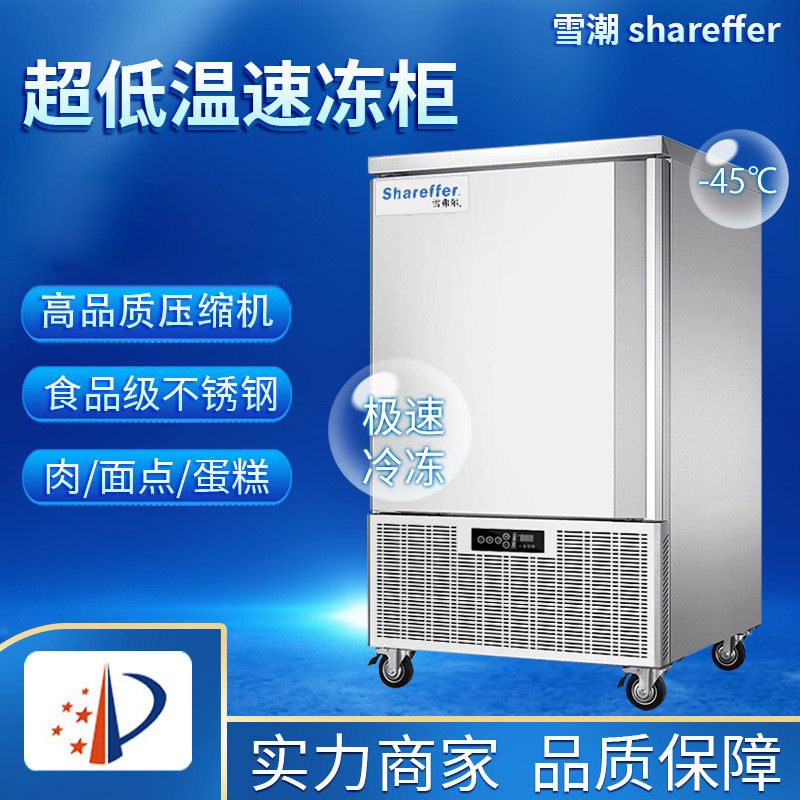 雪潮商用急冻柜冷冻柜包子饺子-40度超低温速冻柜速食极寒