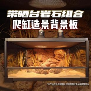 壹柒萌爬虫箱背景板岩壁立体感60*32爬宠缸造景板带晒台组合荒漠