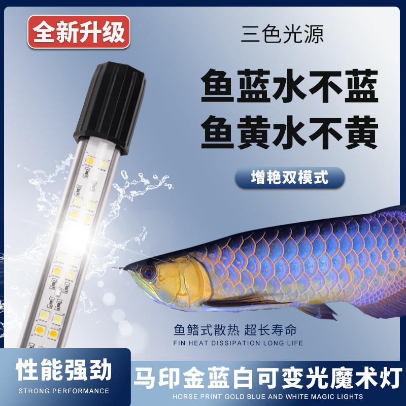 马印神灯增艳灯金龙专用灯雷龙鱼缸灯水族灯led防水灯古典金龙灯
