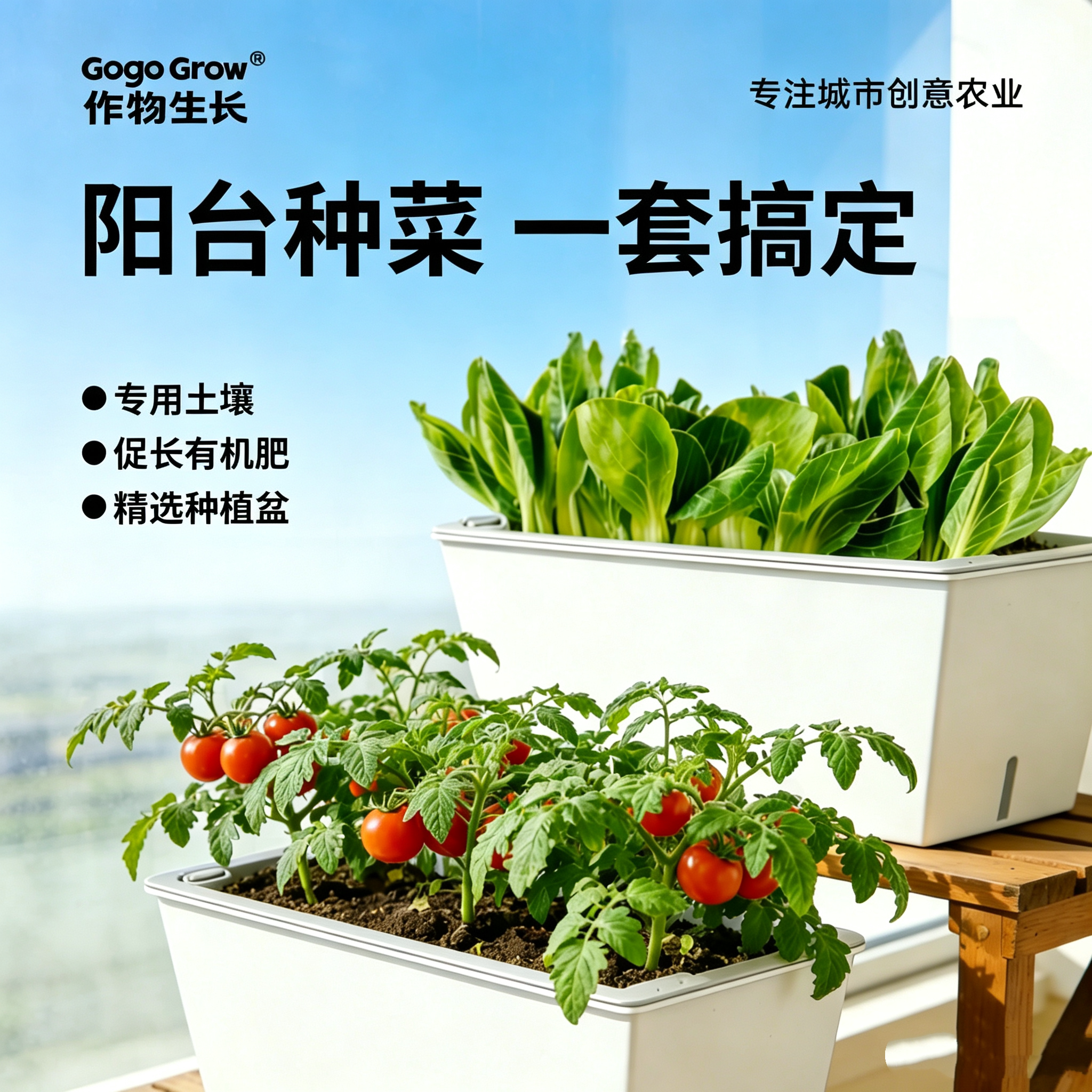作物生长家庭园艺种植套装有机蔬菜茄果阳台种菜盆栽工具送种子