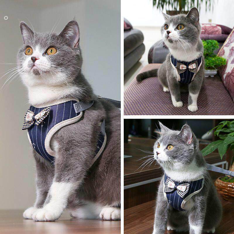 猫绳子猫狗链子泰迪牵引绳防挣脱拴猫绳拴狗绳小狗链子宠物用品夏
