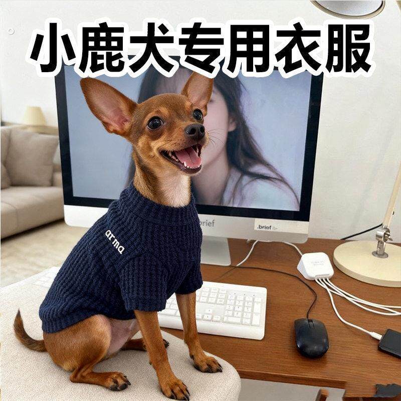 小鹿犬衣服幼犬超小体狗狗迷你秋季过冬天帅气加厚宠物用品