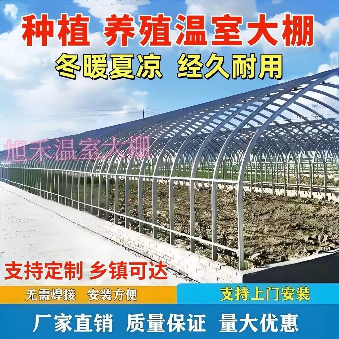 大棚钢管骨架蔬菜种植大棚养猪牛羊大棚养鸡棚养殖温室大棚全套