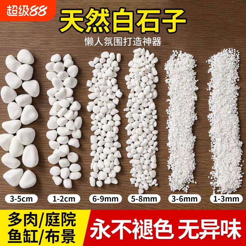 小白石子庭院造景鱼缸鹅卵石原石天然颗粒养花多肉盆栽装饰铺面石