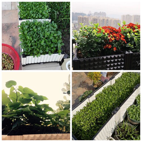 加厚种植箱阳台种菜盆楼顶种菜塑料蔬菜花盆特大种花盆种植槽花箱