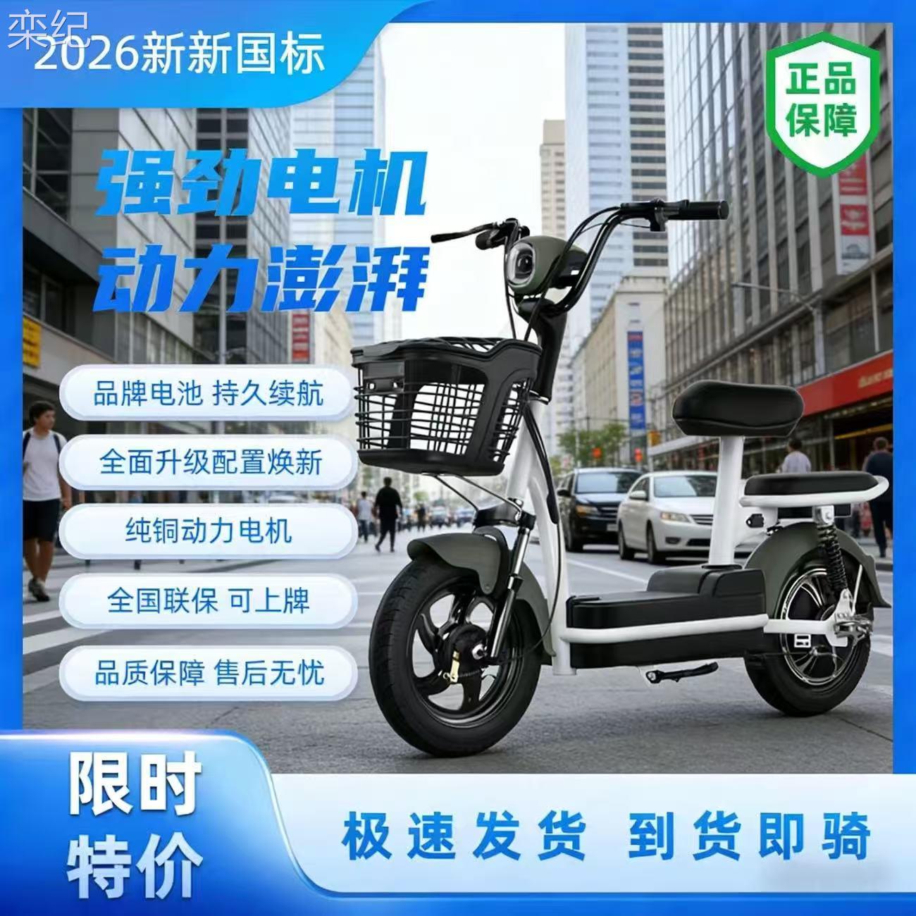 栾纪新国标电动车成人双人两轮电动脚踏车小型家用成人滑板车锂电池电动车床罩拉车