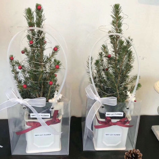 透明梯形鲜花手提袋装 材料礼品袋蛋糕袋盆栽多肉 花束塑料鲜花包装