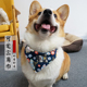 宠物口水巾卖萌三角巾小中大型犬拉布拉多柯基狗狗围脖调节范围大