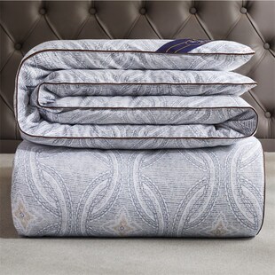 四季蚕丝空调被子春秋款丝棉被芯夏凉被夏季双人薄被褥秋冬被特价