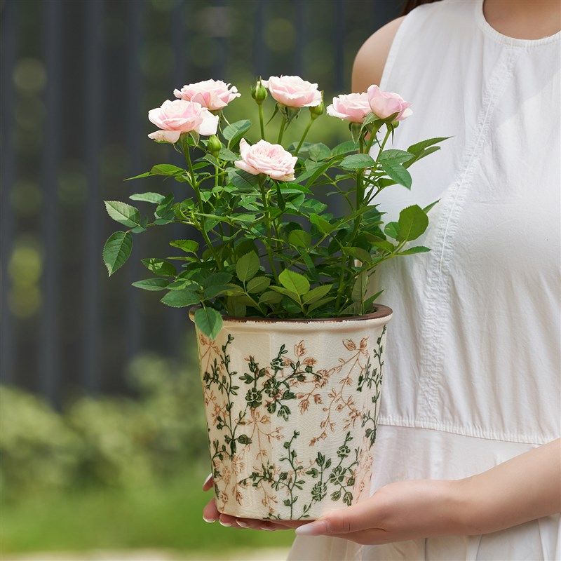 田园繁花陶瓷花盆冰裂清新复古绿萝盆栽蝴蝶兰花创意摆件桌面客厅,家居饰品,花盆,淘宝优惠券,粉丝福利购,淘宝优惠卷