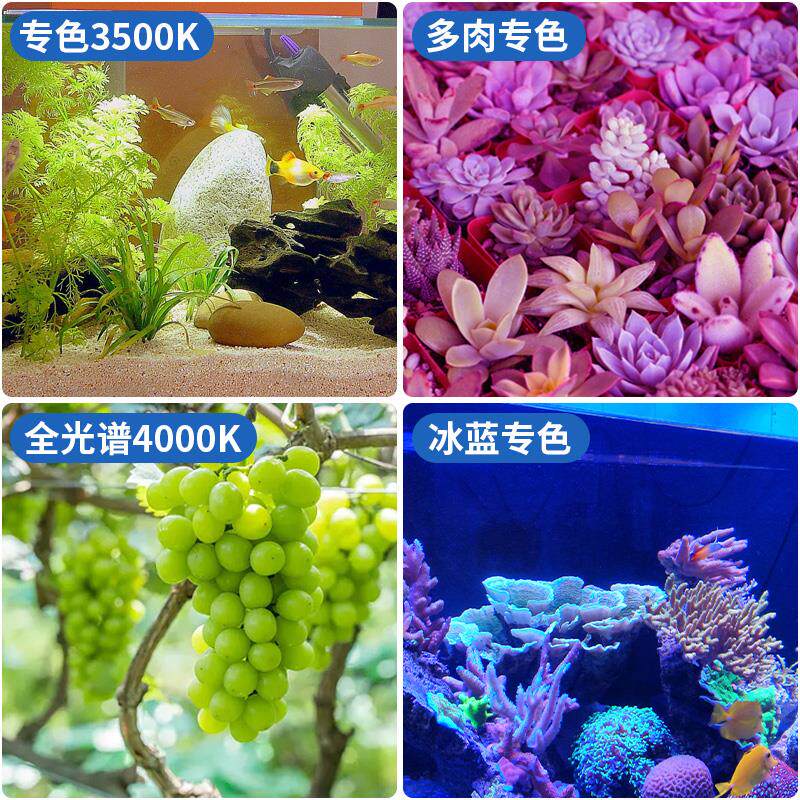 全光谱植物补光多肉E27聚光灯泡家用龙舌兰绿植全光led室内生长灯
