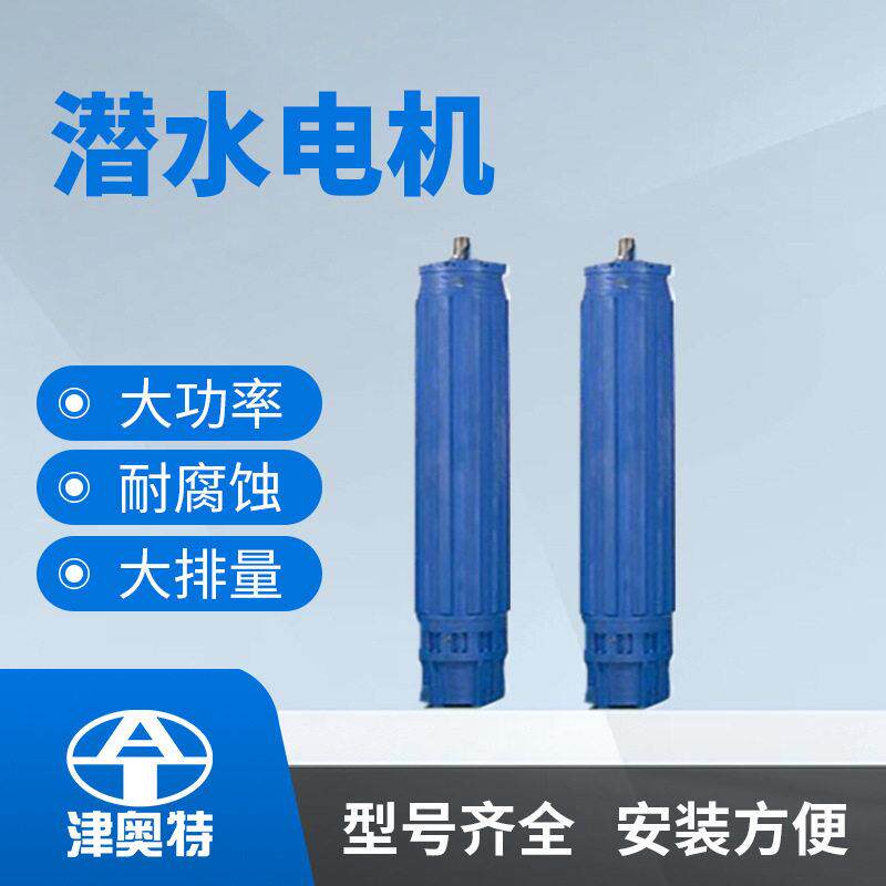 500KW潜水电机交流三相异步潜水电动机耐腐蚀水下潜水电机