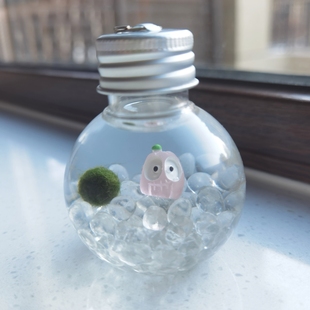 新年开学小礼物女生海藻球微景观生态瓶装迷你小植物水培创意有趣