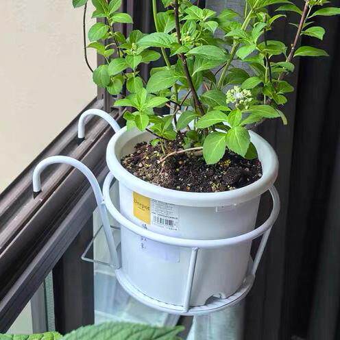 挂篮花盆阳台铁艺半壁挂植物绿萝盆吊兰悬挂多肉加厚耐用创意个性