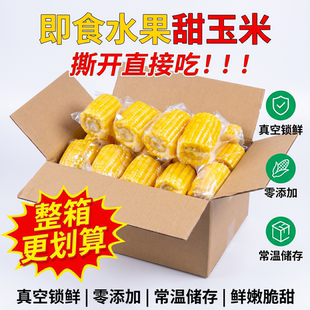 减脂玉米段低脂肪真空包装学生免煮即食早餐低脂饱腹代餐独立包装