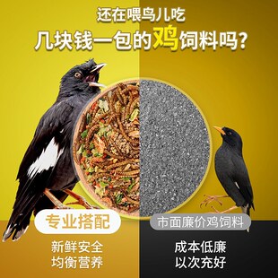 鸟粮鹩哥鸟食画眉八哥鸟饲料豪华营养混合粮八哥专用饲料黄粉虫干