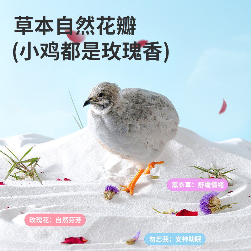 芦丁鸡洗澡沙除臭浴沙浴砂盆透明躲避小屋造景用品鹌鹑卢丁鸡窝