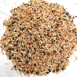 2020新粮20斤清除饲料幼鸽观赏鸽斑鸠等换毛期专用营养粮19省 包邮