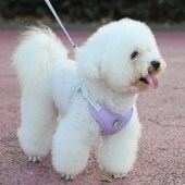 狗狗牵引绳中小型犬背心式 遛狗绳比熊泰迪宠物胸背带狗链子可调节